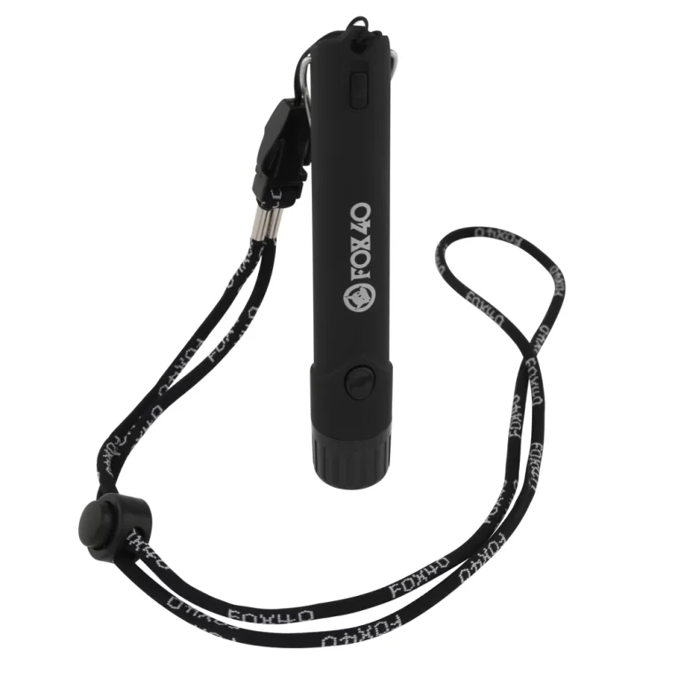 electronic whistle