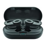 sentry earbuds